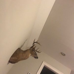 Meet your Posher, Bill